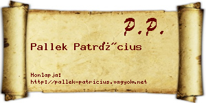 Pallek Patrícius névjegykártya